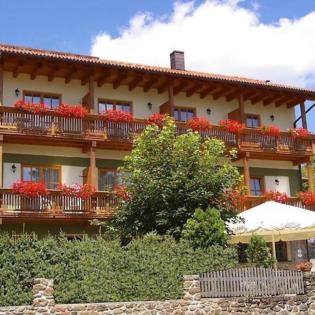 Pension Zur Alten Schmiede Zwiesel Exterior photo