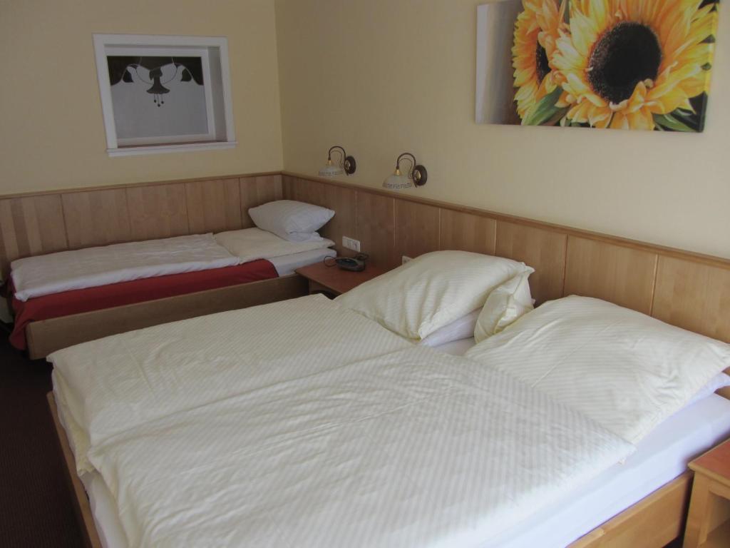 Pension Zur Alten Schmiede Zwiesel Room photo